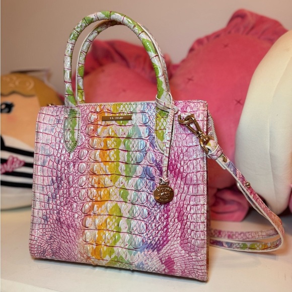 Small Brahmin Optimism Melbourne Satchel 💗🌈✨ - Picture 1 of 6